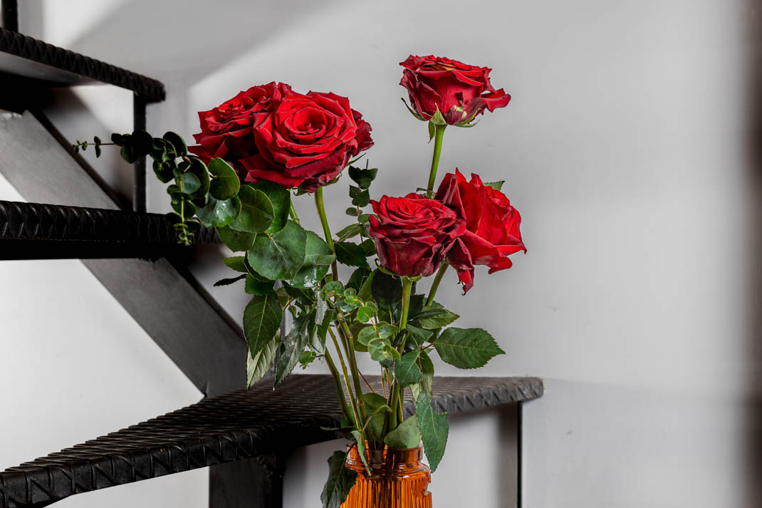 BLOOMLABROMA-galleria-rose-2